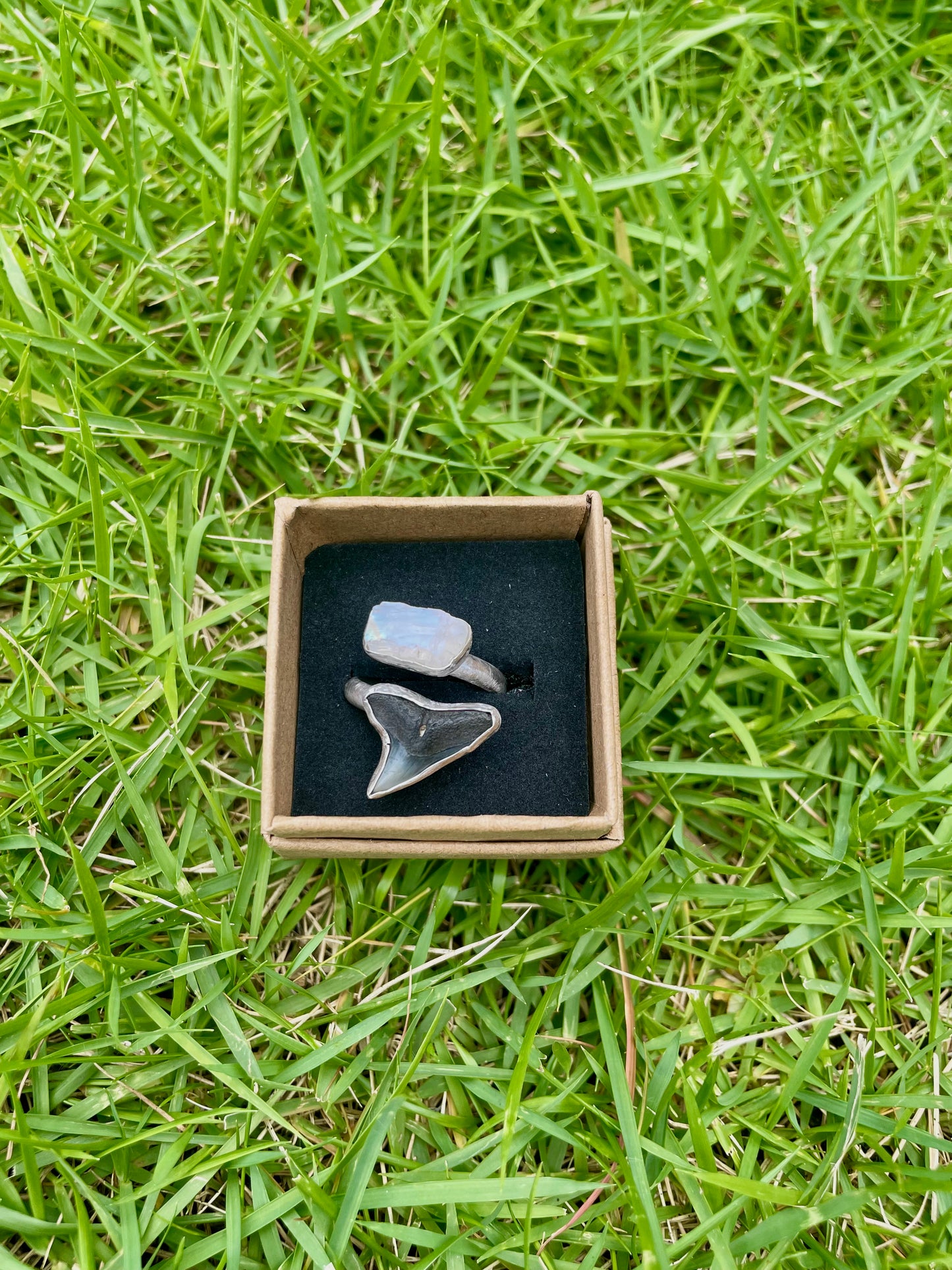 Siren's Shark Tooth Ring with Moonstone