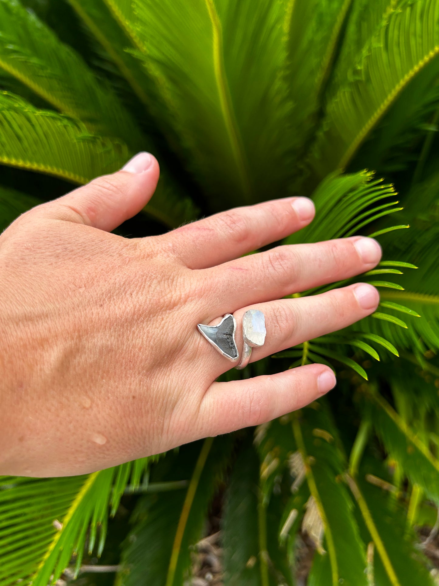 Siren's Shark Tooth Ring with Moonstone